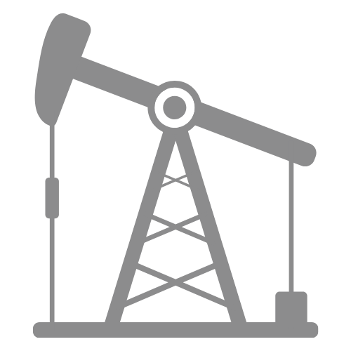 ECG Icon