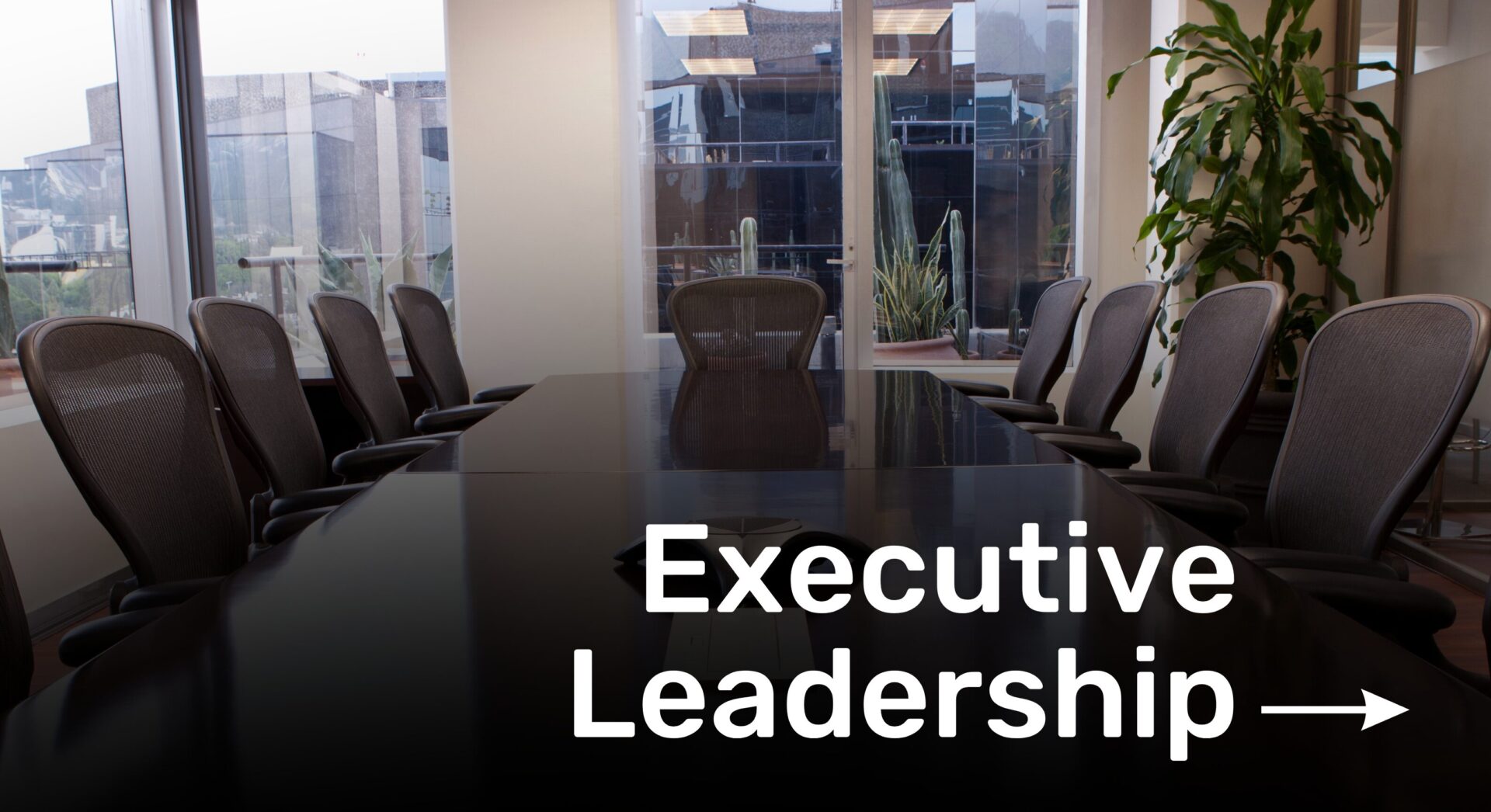 Executive Leadership Tile LARGE THIN 13