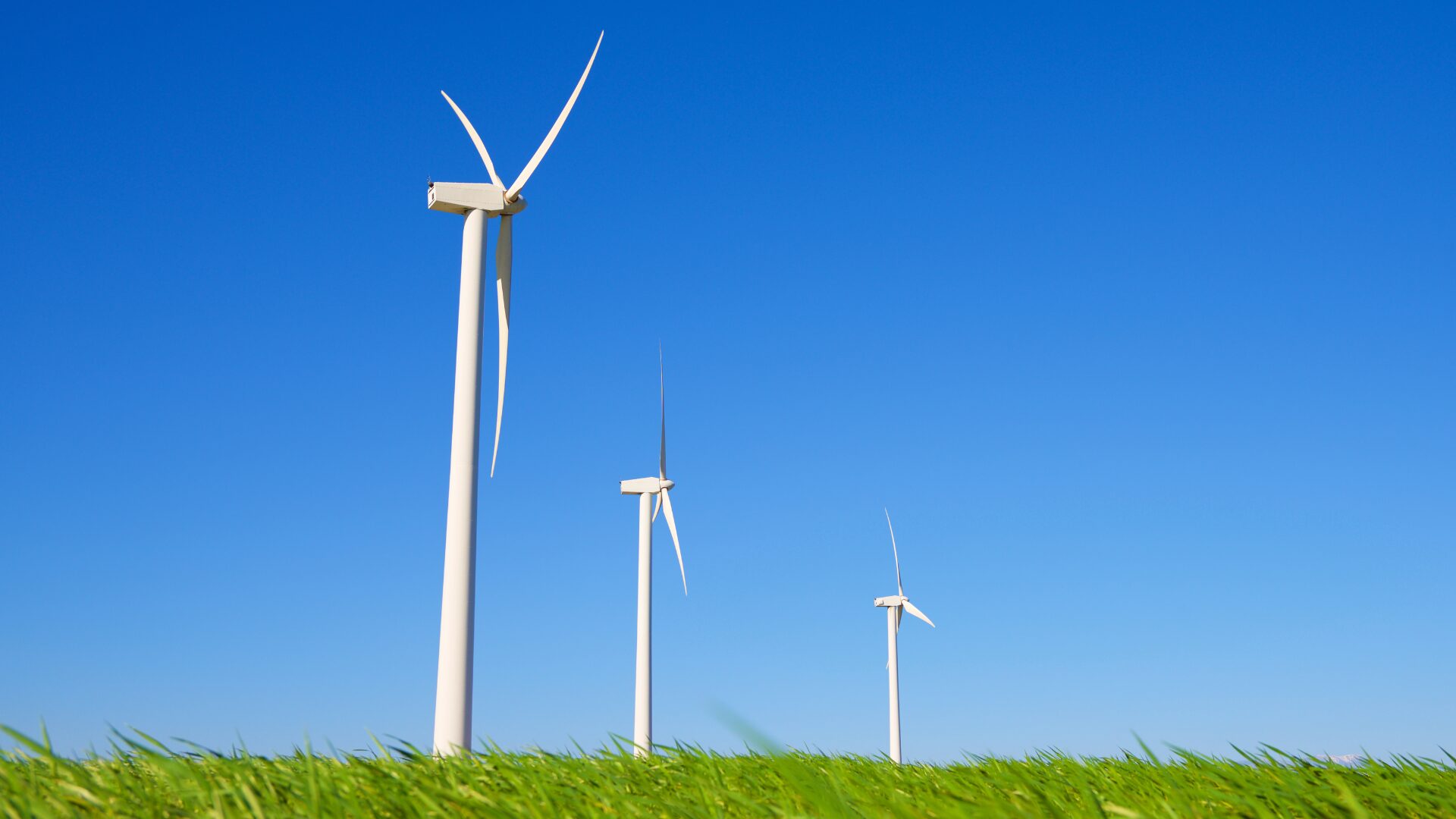 What the Energy Market Tells Us About the Future of Work