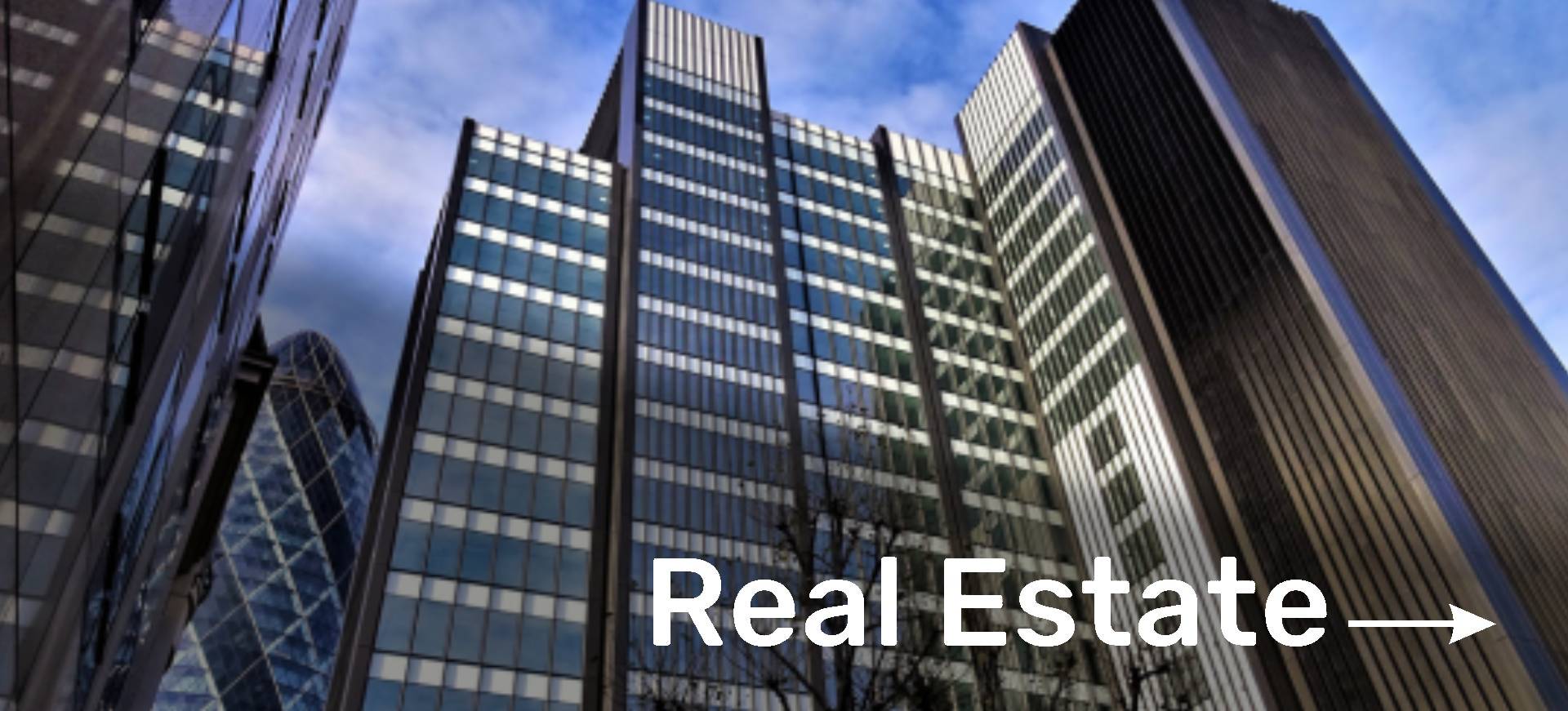 Real-Estate2